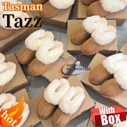 Sly Tasman Boots Bottes Ug Ug Chesut Designer pour femmes Bottes Tazz Bottes décontractées pour femmes avec laine Bottines en peau de mouton Bottes de neige pantoufles chaudes d'hiver mini avec marque de boîte