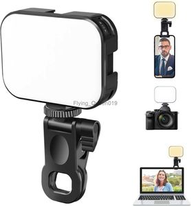 Ulanzi VL100X Bi-Color Selfie Light Dimmable 2500-6500K Clip Panneau lumineux LED pour téléphone/ordinateur portable/tablette/ordinateur caméra lumière HKD230828