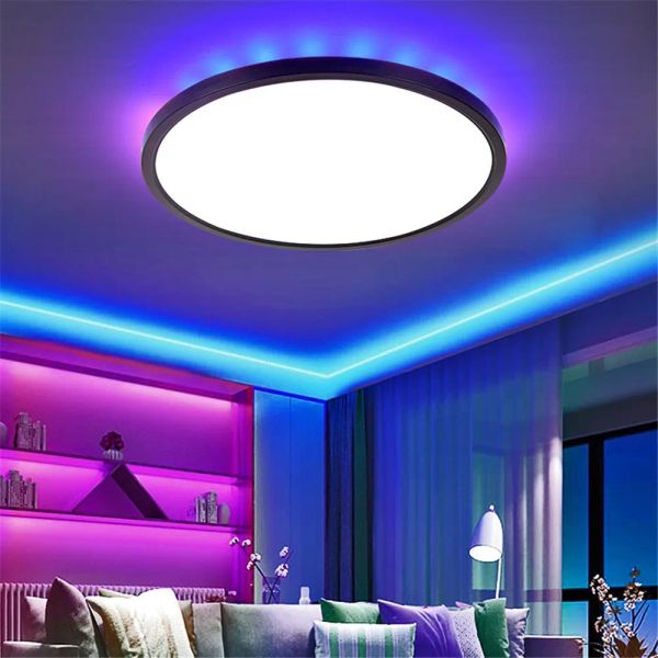 Laut de plafond à LED ultra mince RGBCW LED SMART ROUND PLADIGNE 24W Panneau moderne Fouins de plafond pour chambre à coucher pour le salon