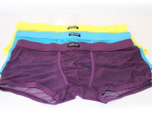 Lage taille Mannelijke Sexy Pouch Ondergoed 8 Kleuren Mens Transparante Gaasbokser Shorts Gay Funny See door slipje