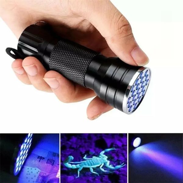 Lumière noire ultraviolette 21 lampe de poche LED lampe torche UV lumière Mini lampe de poche UV Portable en aluminium ZZ