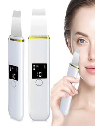 Ultrasonic Facial Skin Surpor Scurpor LCD Écran ION EMS Thérapie Face Retournage Cleaner Spatule Retaill