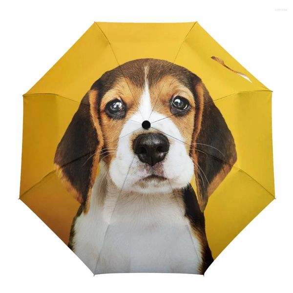 Parapluies mignons chiot portrait huile peinture rain rainable parapluie pour femmes mâles huit brins ensoleillés entièrement automatiques