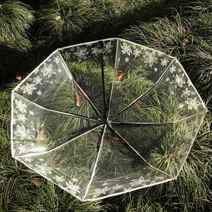 Parapluies à long manche, résistant à la pluie, créatif, ensoleillé, pour femmes, filles, dames, articles de nouveauté, parapluie Transparent