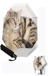 Paraplu's Tabby kat afgedrukt Volledig automatisch zonnige regenachtige parasol antiuv paraplu voor vrouwen mode creatief 3 vouwen parapluie2484891