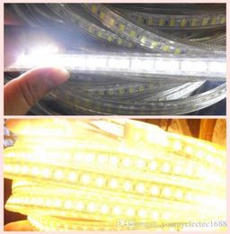 Umlight1688 20 50 100m koele wit hoog vermogen SMD5730 flexibele LED -strip touwlichten aangepaste snijbanen Baar 110V 120V 220V C7663859
