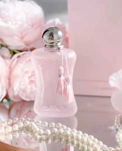 Qualité indéfinie vendant le haut parfum pour les femmes parfum delina 75 ml incroyable odeur attrayante parfum limité en édition rapide déliv 668