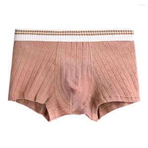 Sous-pants 1pc Boxer de mélange de coton sexy masculin Briefes shorts de taille moyenne sous-vêtements sous-vêtements de lingerie