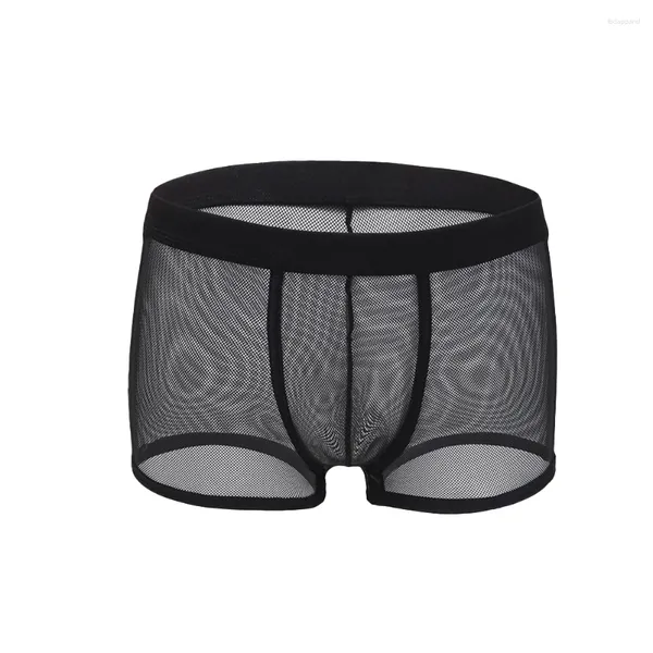 Sous-pants 1pc sexy maille pour hommes Voir à travers le boxeur Briefes basse taille sous-vêtements lingerie boxers shorts gonflants sachet homme culotte