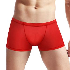 Sous-pants 1pc sexy hommes Voir à travers les boxers shorts Mesh boxer trunks jockstrap pochet mâle lingerie culotte de sous-vêtements