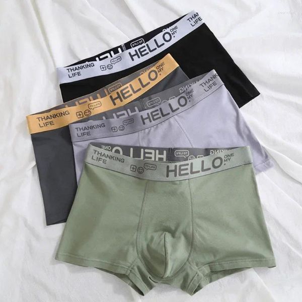 Calzoncillos 1 unids Boxer Hombres Ropa interior BoxerShorts Hombre Algodón Transpirable Boxers Cómodo Elástico Masculino Pantie Plus Tamaño L-4XL