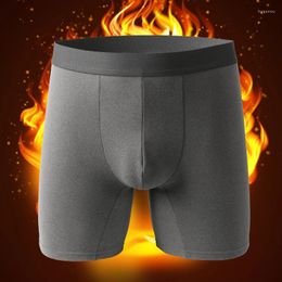 Onderbroek 1 stks/partij Thermisch Ondergoed Voor Mannen Boxers Man Warm Slipje Shorts Wol Homme Broek Slip Pluis Mannelijke Bodems