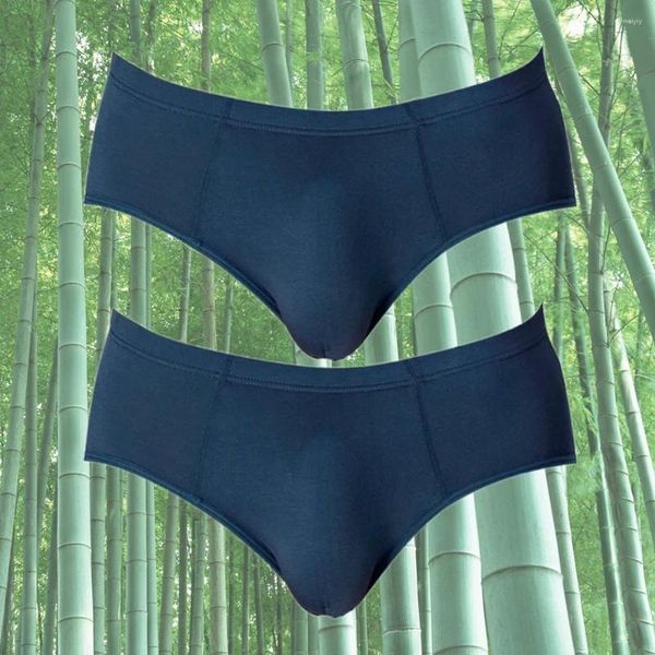 Sous-vêtements 2 paquets respirant fibre de bambou hommes sous-vêtements pour gros pénis plus taille couleur unie confortable culotte pour hommes sexy 2024