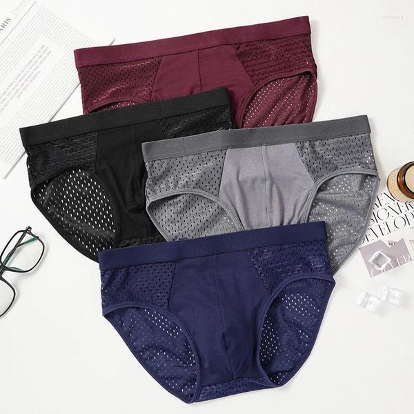 Sous-vêtements 2 pièces/lot hommes bambou maille respirant slips sous-vêtements Hombre trou grande taille hommes shorts Lingerie culotte sexy