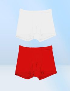 Onderbroek 2021 Zomerijs Silk Men ondergoed naadloze transparante boksers shorts Ultra dunne pure ademende comfortabel slipje9911246