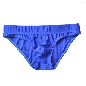 Sous-vêtements 2022 Marque Howe Ray Hommes Sexy Nylon Solide Slip Mâle Respirant Séchage Rapide Taille Basse Sous-Vêtements Gay