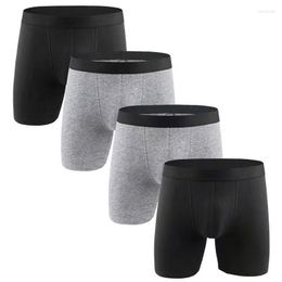 Onderbroek 2023 4PCS/Lot European en American Heren Underwear Solid Color Sports Underpante Hoge kwaliteit katoen