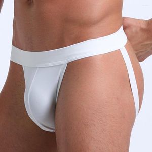 Slip 2023 marque Sexy sous-vêtements hommes Jockstrap taille basse coton Gay homme Bikini mâle slips hommes Lingerie Cueca t-back