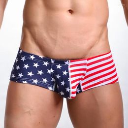 Calzoncillos 2023 moda bandera americana impresa hombres Sexy algodón elástico Mini Boxers ropa interior Gay Casual pantalones cortos talla S M L XL