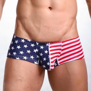 Calzoncillos 2023 moda bandera americana impresa hombres Sexy algodón elástico Mini Boxers ropa interior Gay Casual pantalones cortos talla S M L XL