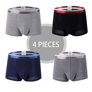 Calzoncillos 2023 para hombre, calzoncillos bóxer transpirables, ropa interior para hombre, calzoncillos sexis para hombre, 4 unids/lote, L-3XL de licra para hombre joven