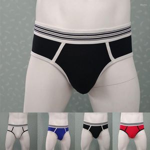 Caleçon 2023 hommes sous-vêtements de contour poche convexe Sport hanche slips Gay court coton mâle érotique Lingerie