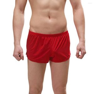 Caleçon 2023 hommes Sexy glace soie ample Boxer slips poche sous-vêtements Shorts sommeil bas troncs hommes natation