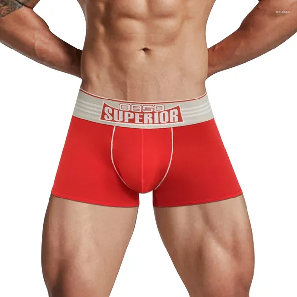 Sous-vêtements 2023 Hommes Sous-vêtements Coton Boxer Confortable Sports Sexy Boxershort Hommes Boxers Mâle Gay U Pouch Cuecas