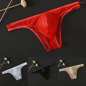 Sous-vêtements 2023 Sexy hommes maille bikini pochette sous-vêtements transparent boxer slips transparent respirant transparent lingerie pour hommes sissy culottes