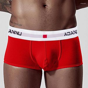 Sous-pants 2024 Adannu Brand Mens Mens Underwear Boxers Coton For Men Classical Male Boxer Shorts 5Colors AD45