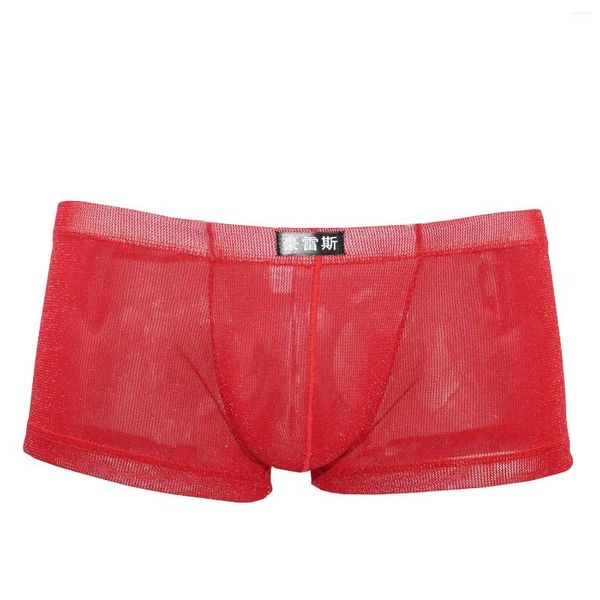 Calzoncillos 2024 Marca Howe Ray Hombres Ropa interior de seda de hielo Boxer Shorts Gay Thin U Convex Penis Bolsa Transpirable Boxers Transparente