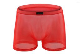 Sous-pants 2024 Marque Howe Ray Men Men Underwear Boxer Shorts Men's Ice Silk Cool Breathable Thin Sexy Transparent Soft Male Pottel