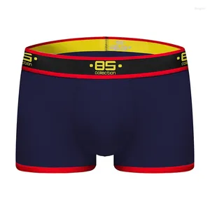 Sous-pants 2024 BS Brand Men Boxer Underwear Coton U Pouche sexy CUECA PANTS Shorts masculins BS176