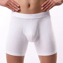 Onderbroek 2024 Heren Boxer Lange Been Ondergoed Erkek Natuurlijke Katoenen Sexy Shorts Top Merk Zacht