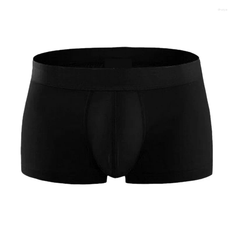 Underpants 2024 남자 pouplar 트렁크 남성 복서 면화 속옷 4 코너 남성 팬티 반바지 통기 가능