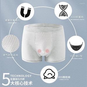 Calzoncillos 2024 ropa interior para hombres más pantalones cortos de algodón grandes masculinos tela antibacteriana suave cómodo transpirable marca para hombre troncos