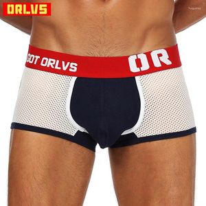 Onderbroek 2024 mannen ondergoed boksers shorts sexy mannelijk mesh ademende boksers u pouch convexe broek gay heren