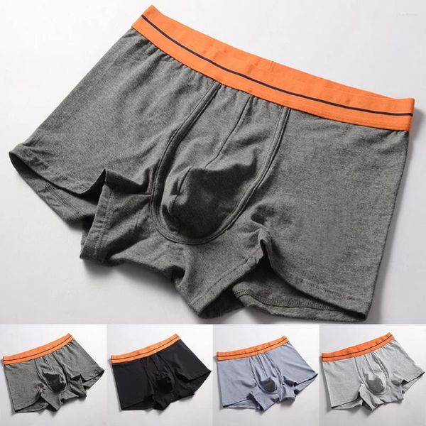 Sous-vêtements 2024 Hommes Sexy Shorts U Poche convexe Sous-vêtements Coton Boxers Slips Trunks Bouton Culottes Sommeil Bas