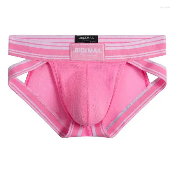 Calzoncillos 2024 Ropa interior sexy Hombres Calzoncillos Cintura baja Malla Nylon Hombre Bikini Lencería para hombres Cueca Seco rápido Transpirable