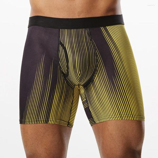 Calzoncillos 2024 Caja de estilo Hombres Bragas Boxer Ropa interior larga para hombre Pantalones cortos y malla Homme Luxury Boxerhomme Gym Gay