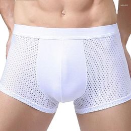 Sous-pants 2024 Summer Men's Underwear Fitness Boxer super-élastique Boxer Soft Breathable Male's plus taille 4xl