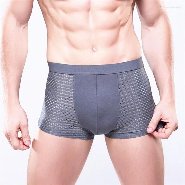 Sous-vêtements 2pcs 4XL Plus Taille Bamboo Hommes Sous-vêtements Respirant Modal Culotte Homme Homme Sexy Mens Boxer Shorts Gris Mesh Boxers