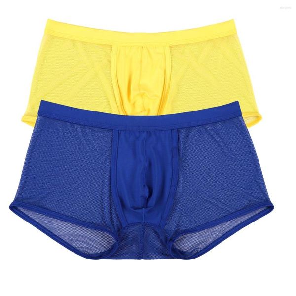 Caleçon 2 pièces/lot homme sous-vêtements maille Boxer Transparent Sexy Ultra-mince Jockstrap mâle taille basse hommes culottes Boxershorts