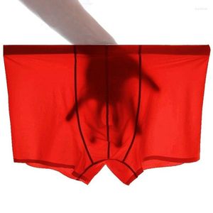 Sous-vêtements 2pcs hommes sous-vêtements en soie de glace été cool respirant garçons soyeux ultra mince boxer sans trace pantalon hommes boxeurs