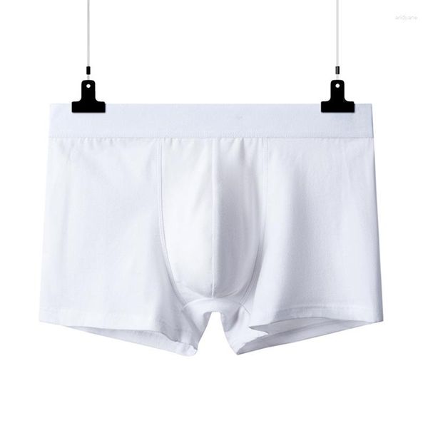 Sous-vêtements 2pcs pur coton homme boxeurs sous-vêtements confortables respirant sous-shorts body hommes blanc couleur l xl xxl xxxl 4xl