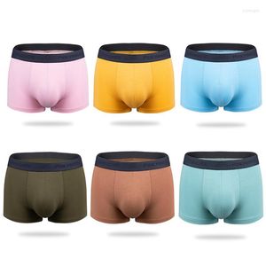 Sous-vêtements 3 pièces hommes sous-vêtements U poche convexe sexy respirant boxer slips solide doux Smoth shorts multicolore pack culotte