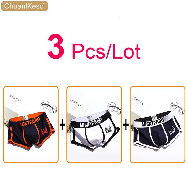 Sous-vêtements 3 pièces lot sous-vêtements masculins pur coton grande taille sexy coréen shorts impression personnalisée mode sport boxer pantalon 231212