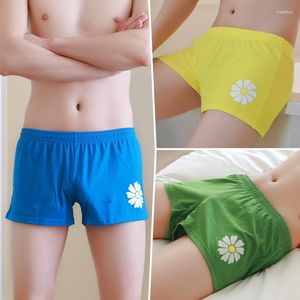 Sous-vêtements 3 pièces Mode Sous-vêtements pour hommes Pur coton Boxer Pantalon Jeune garçon Taille basse Sexy Short coréen