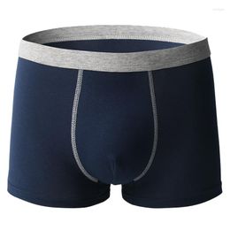 Calzoncillos 3pcs de gran tamaño para hombres más pantalones cortos de algodón de algodón puro macho