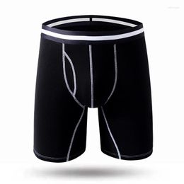 Caleçons 3 pièces Boxer à jambes longues pantalons de sport pantalons de Fitness sous-vêtements pour hommes culottes en coton Boxershorts d'entraînement de course